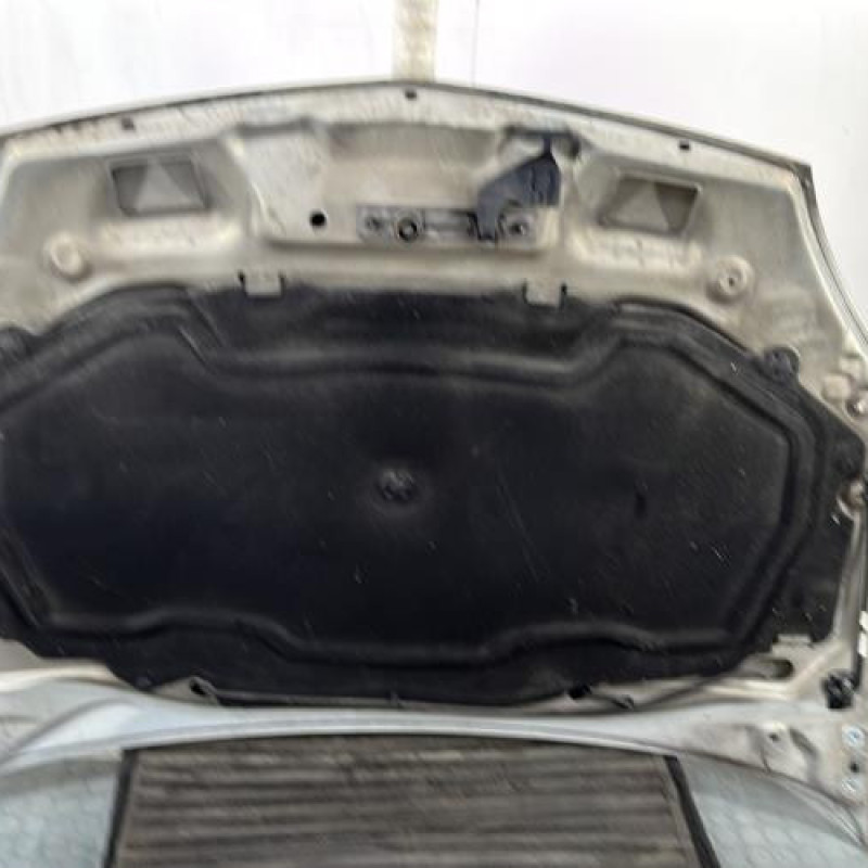Capot RENAULT CLIO 2 Photo n°9