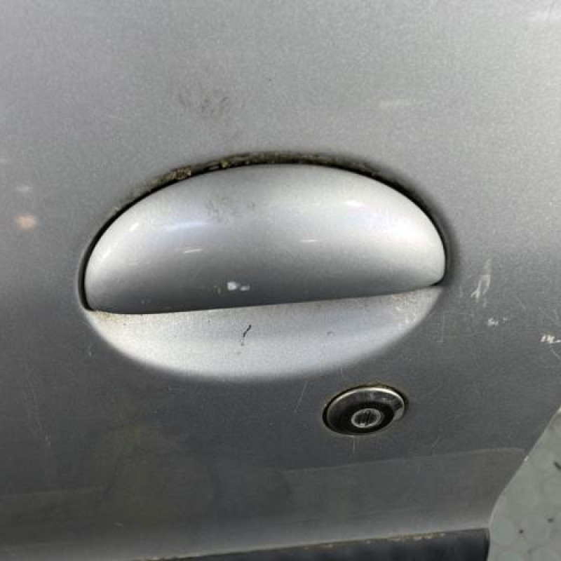 Porte avant gauche PEUGEOT 206 Photo n°2