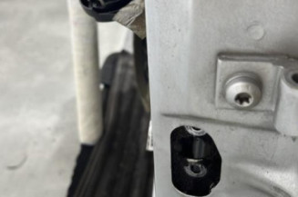 Porte avant gauche PEUGEOT 206