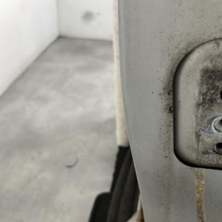 Porte avant gauche PEUGEOT 207