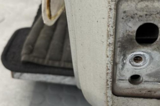 Porte avant gauche PEUGEOT 207