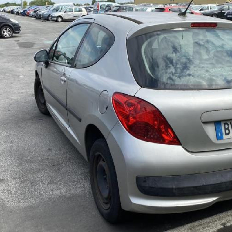 Porte avant gauche PEUGEOT 207 Photo n°7