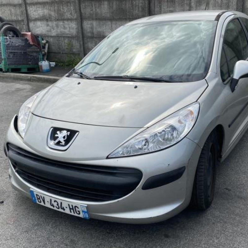 Porte avant gauche PEUGEOT 207 Photo n°14