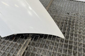 Aile avant droit RENAULT MEGANE 3