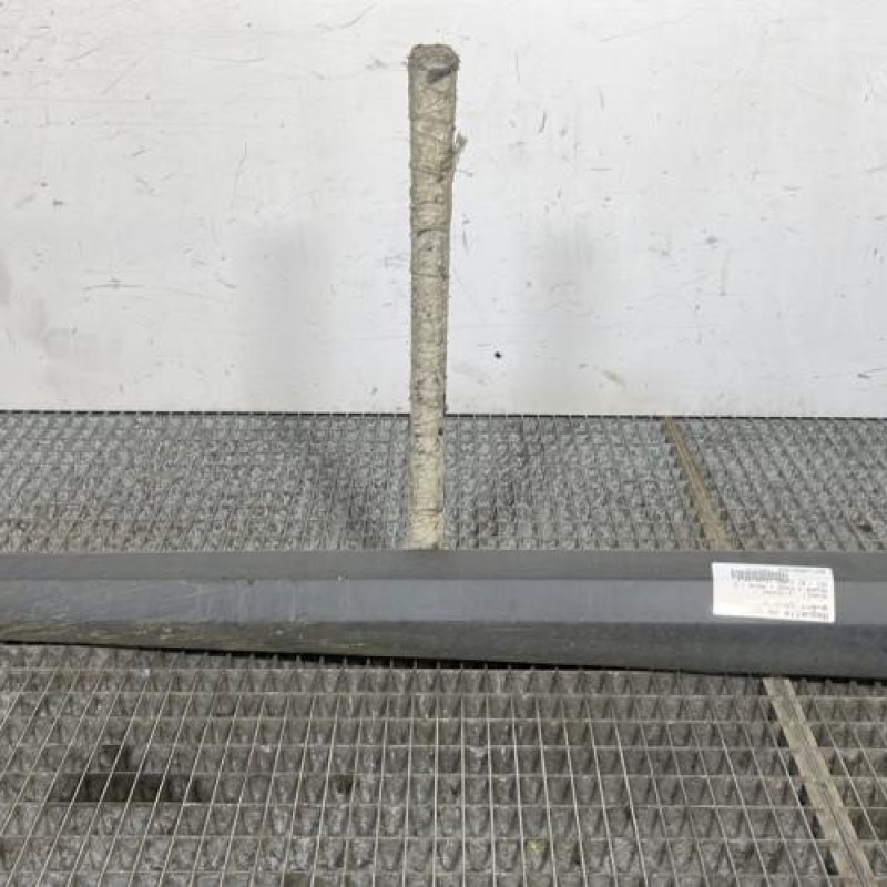 Baguette de porte avant gauche RENAULT MEGANE 3 Photo n°1