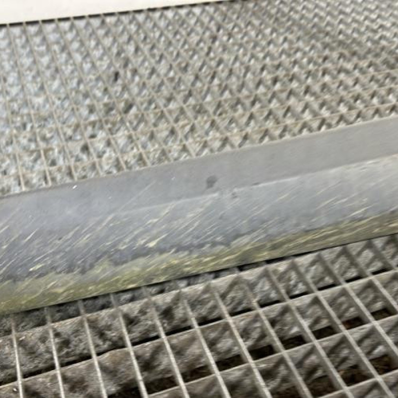Baguette de porte avant gauche RENAULT MEGANE 3 Photo n°2