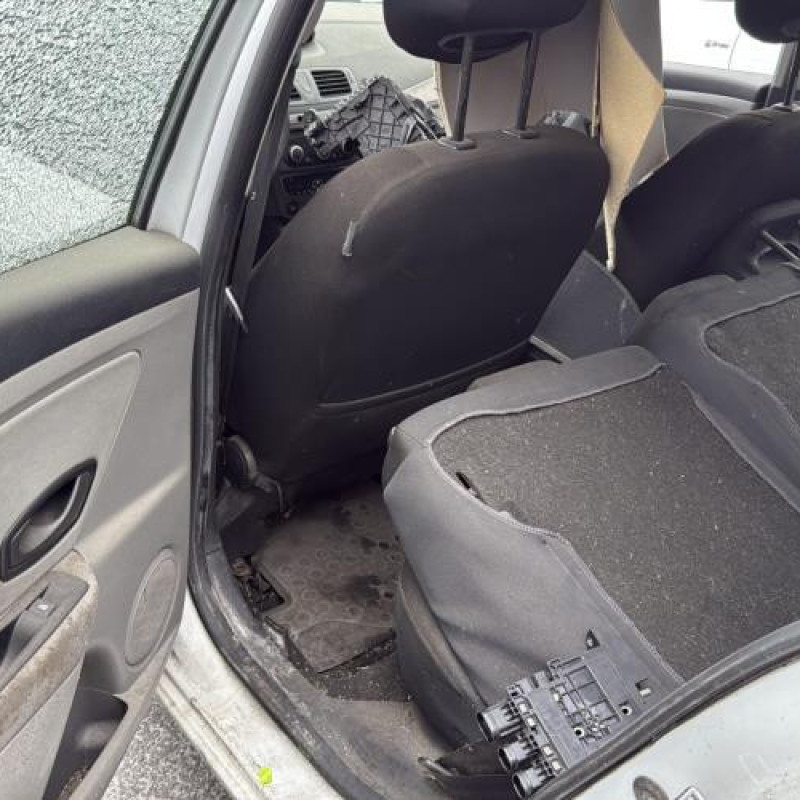 Baguette de porte avant gauche RENAULT MEGANE 3 Photo n°14