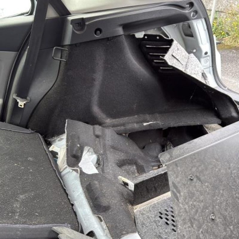 Baguette de porte avant gauche RENAULT MEGANE 3 Photo n°15