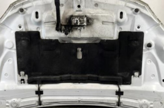 Capot RENAULT MEGANE 3