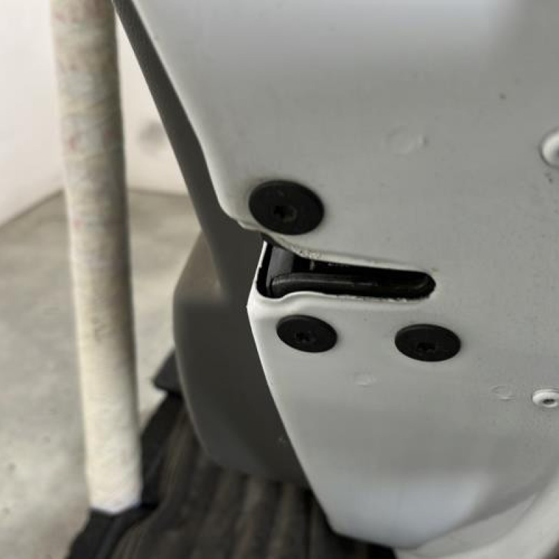 Porte arriere droit RENAULT MEGANE 3 Photo n°3