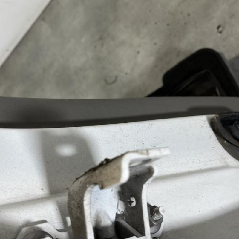 Porte arriere droit RENAULT MEGANE 3 Photo n°4
