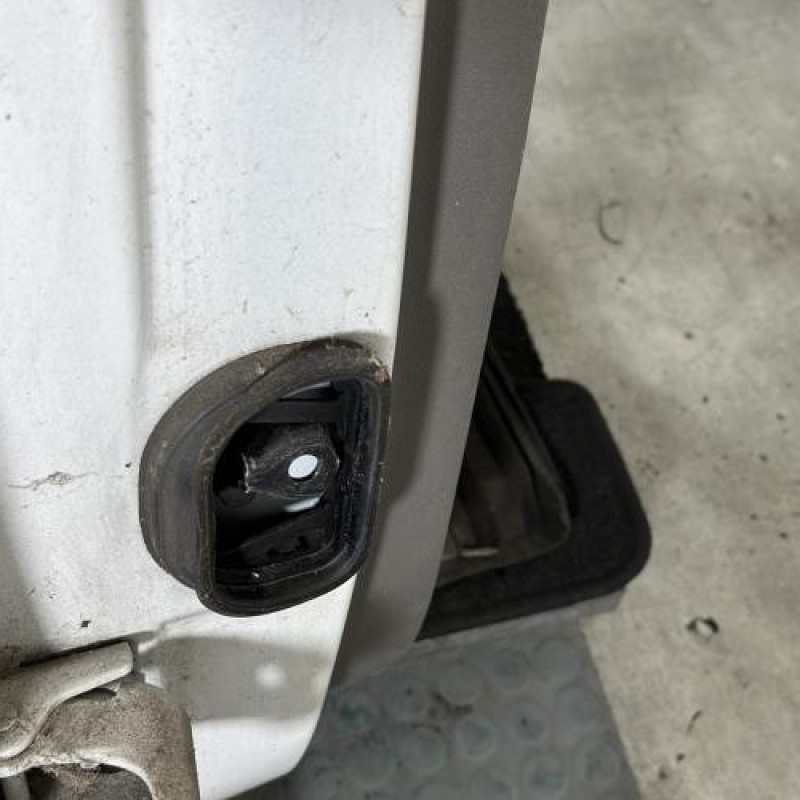 Porte arriere droit RENAULT MEGANE 3 Photo n°5