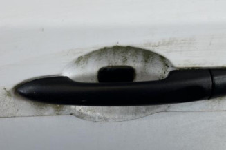 Porte arriere gauche RENAULT MEGANE 3