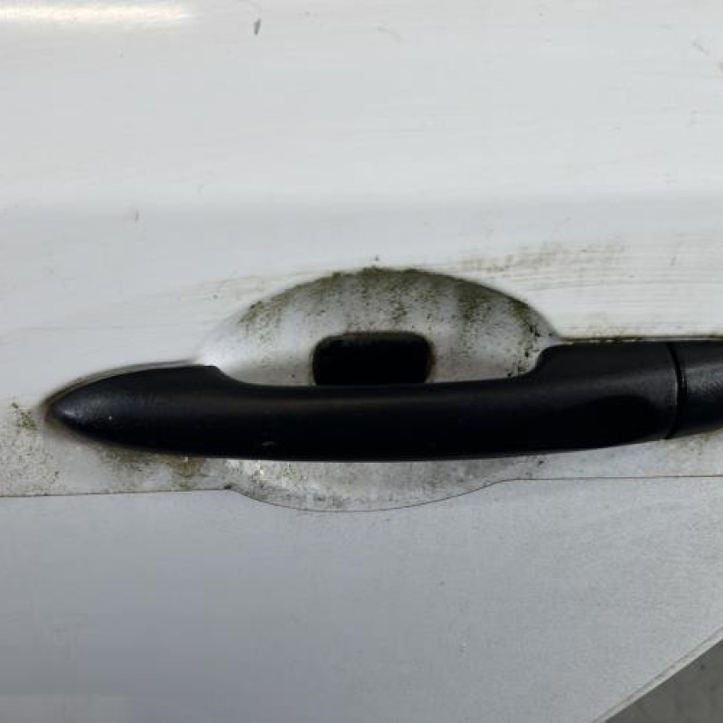 Porte arriere gauche RENAULT MEGANE 3 Photo n°2