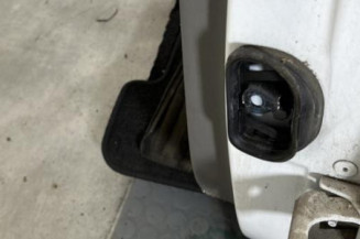 Porte arriere gauche RENAULT MEGANE 3