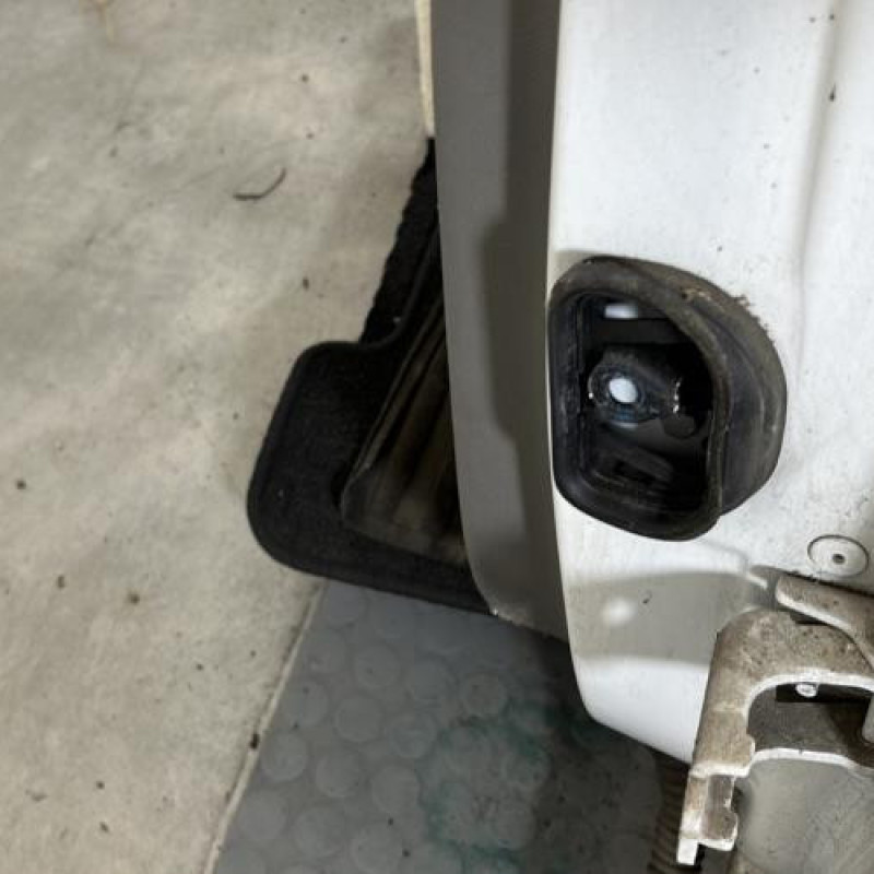 Porte arriere gauche RENAULT MEGANE 3 Photo n°4