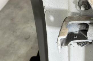 Porte arriere gauche RENAULT MEGANE 3