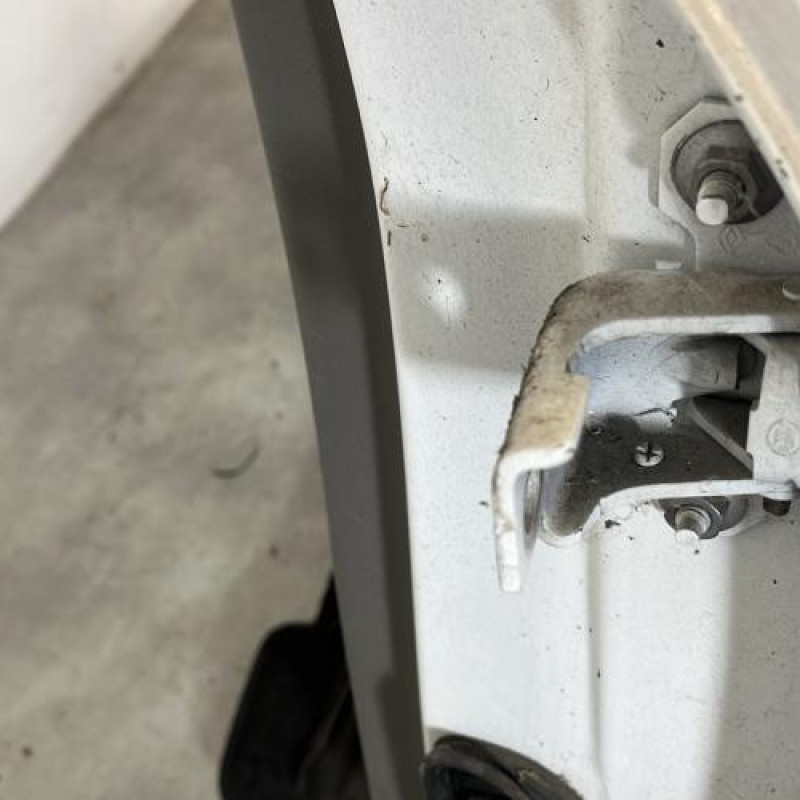 Porte arriere gauche RENAULT MEGANE 3 Photo n°5