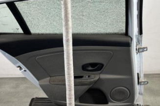 Porte arriere gauche RENAULT MEGANE 3
