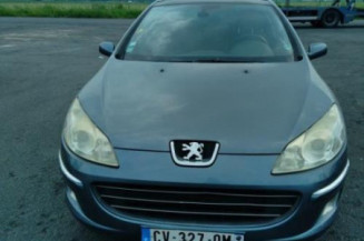 Vase de lave glace PEUGEOT 407