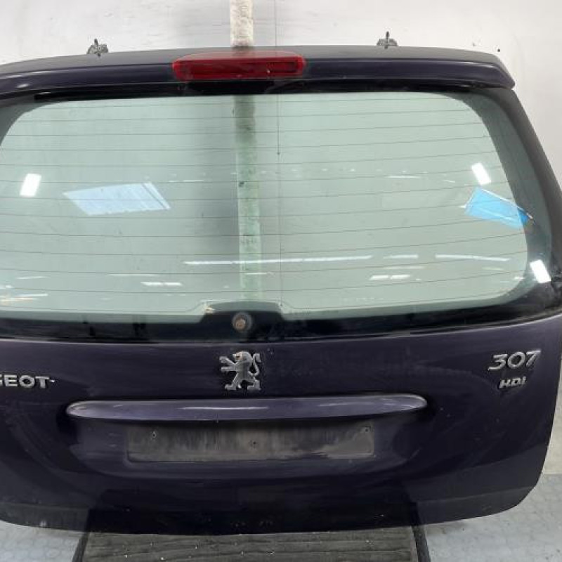Malle/Hayon arriere PEUGEOT 307 Photo n°1