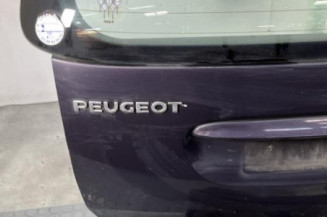 Malle/Hayon arriere PEUGEOT 307