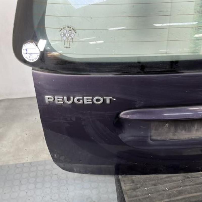 Malle/Hayon arriere PEUGEOT 307 Photo n°5