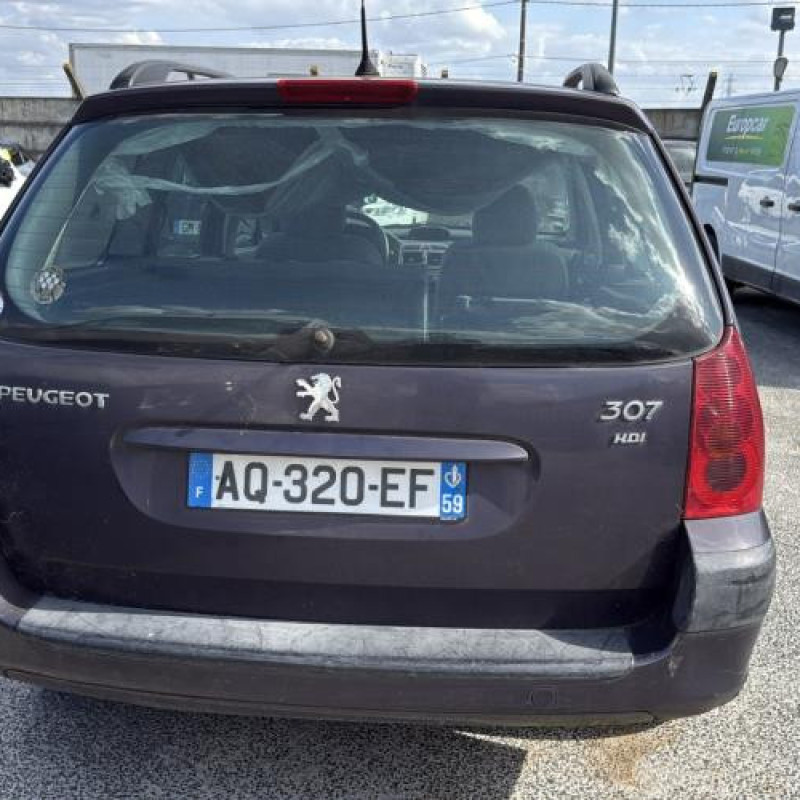 Malle/Hayon arriere PEUGEOT 307 Photo n°16
