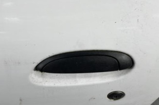 Porte avant gauche RENAULT CLIO 2