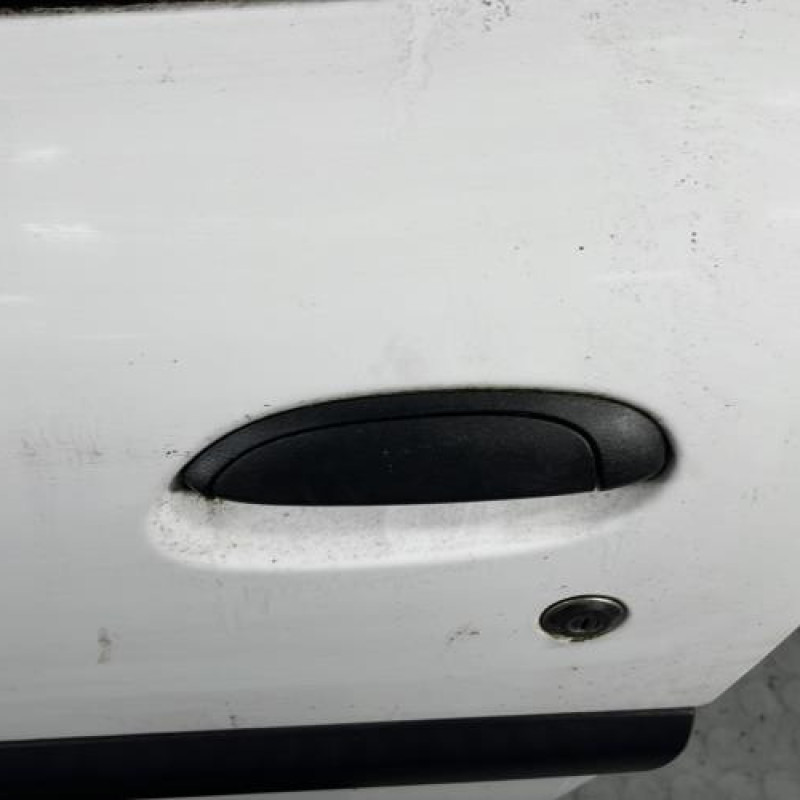 Porte avant gauche RENAULT CLIO 2 Photo n°2