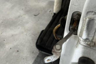 Porte avant gauche RENAULT CLIO 2