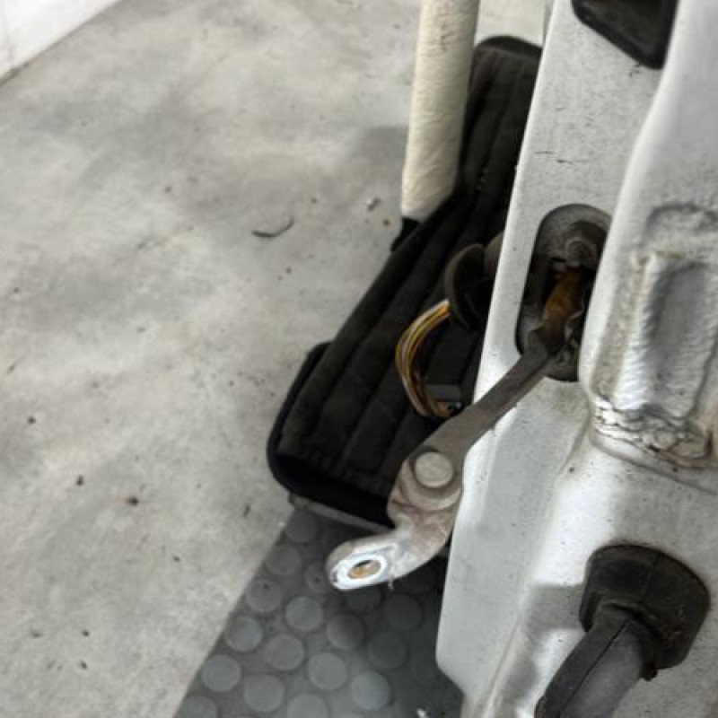 Porte avant gauche RENAULT CLIO 2 Photo n°5
