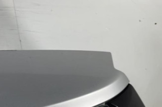 Malle/Hayon arriere RENAULT SCENIC 2