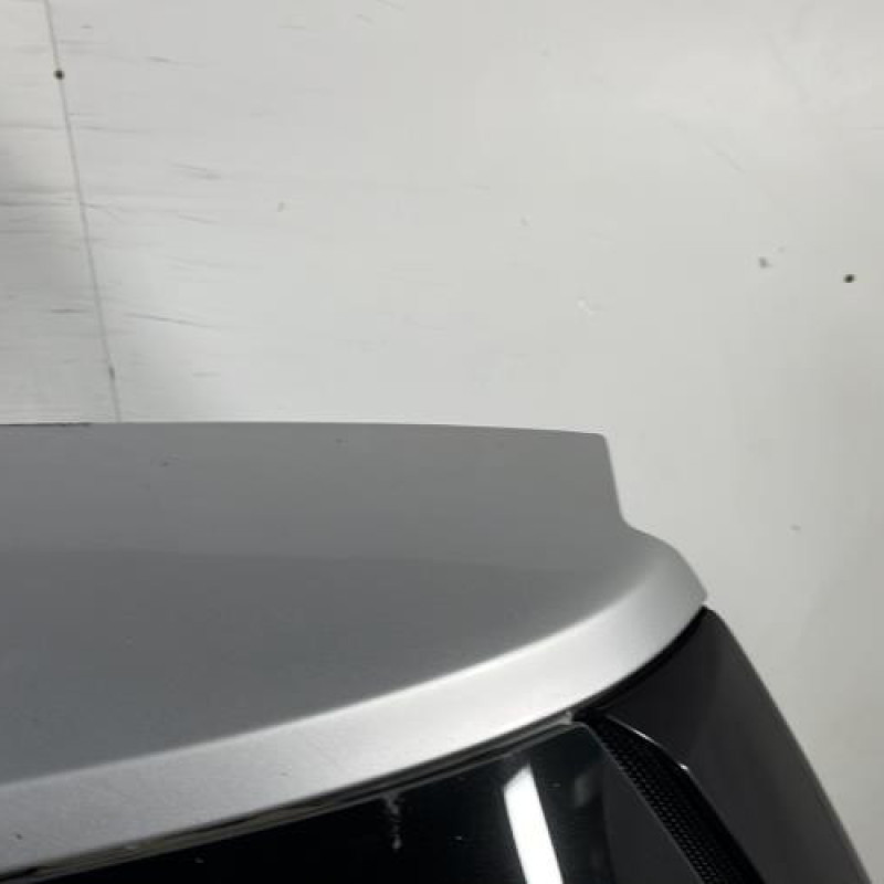 Malle/Hayon arriere RENAULT SCENIC 2 Photo n°3