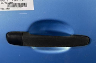 Porte arriere droit CITROEN C3 1