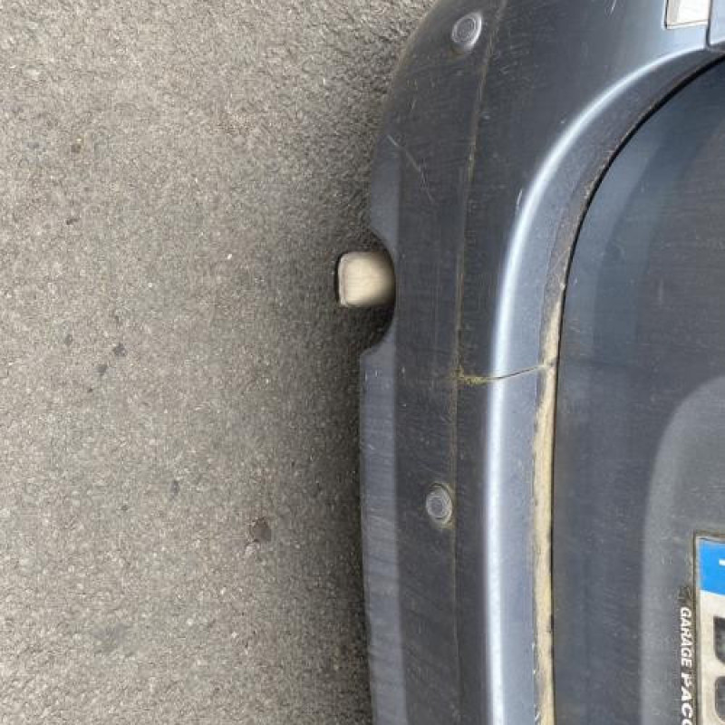 Feu arriere principal droit (feux) CITROEN XSARA PICASSO Photo n°20