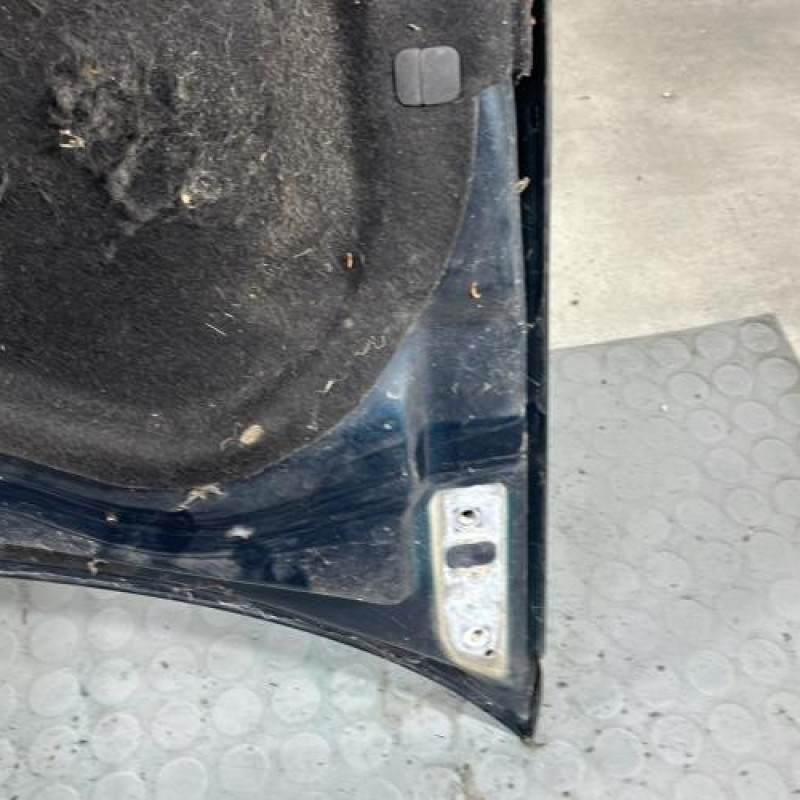 Capot VOLKSWAGEN GOLF 4 Photo n°8