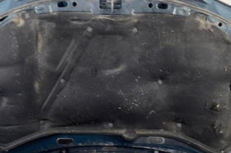 Capot VOLKSWAGEN GOLF 4