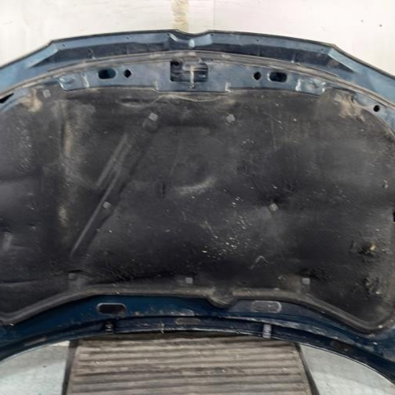 Capot VOLKSWAGEN GOLF 4 Photo n°10