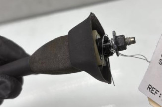 Antenne CITROEN SAXO