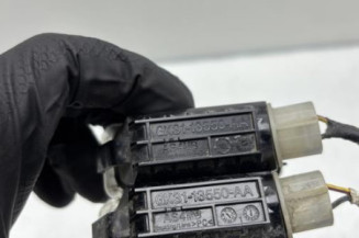 Eclairage de plaque FORD TRANSIT 5