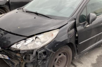 Neiman PEUGEOT 207