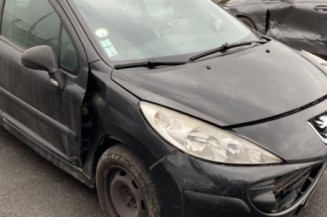 Neiman PEUGEOT 207