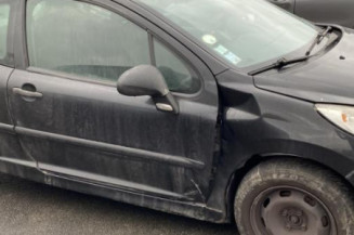 Neiman PEUGEOT 207