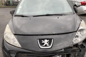 Neiman PEUGEOT 207