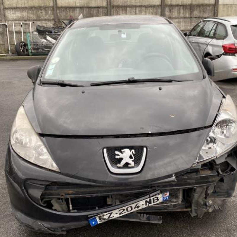Neiman PEUGEOT 207 Photo n°13