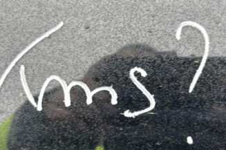 Feu arriere principal gauche (feux) BMW SERIE 3 E91