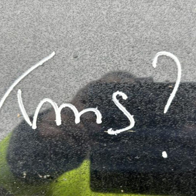 Vitre avant droit BMW SERIE 3 E91 Photo n°13