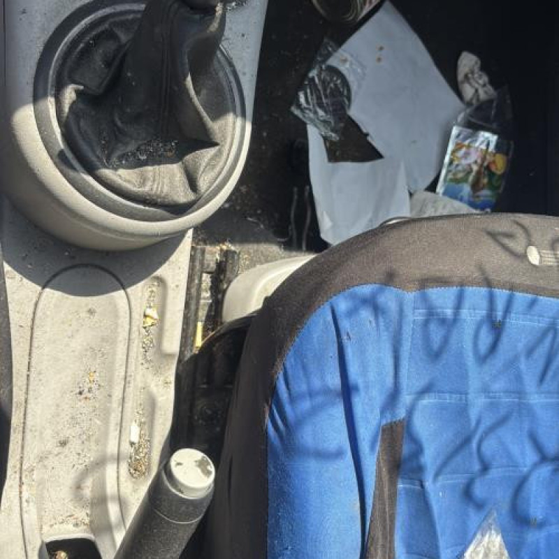 Poignee porte arriere droit CITROEN C3 1 Photo n°20