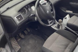 Serrure arriere gauche PEUGEOT 307